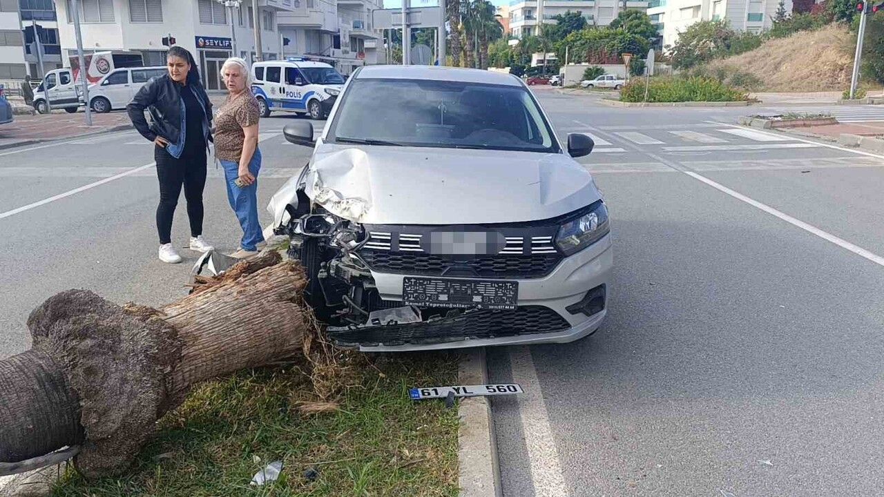 Manavgat'ta Şoförlük Eğitimi Sırasında Palmiyeye Çarpma Kazası