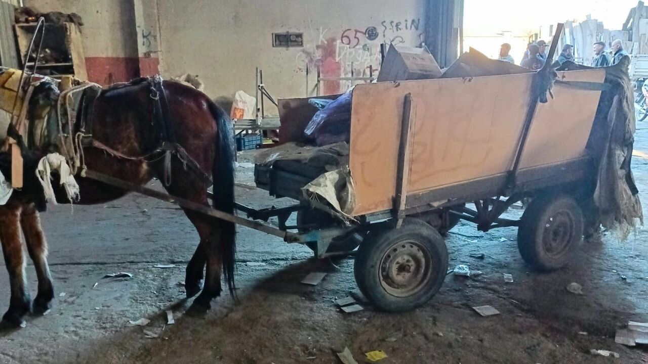 Manisa’da At Arabası Operasyonu: İki Araç Trafikten Men Edildi