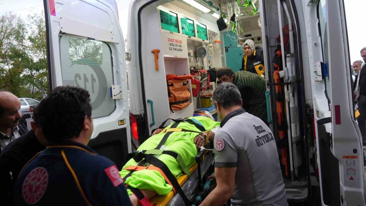 Mantar Toplarken Ayının Saldırısına Uğrayan İmam Yaralandı