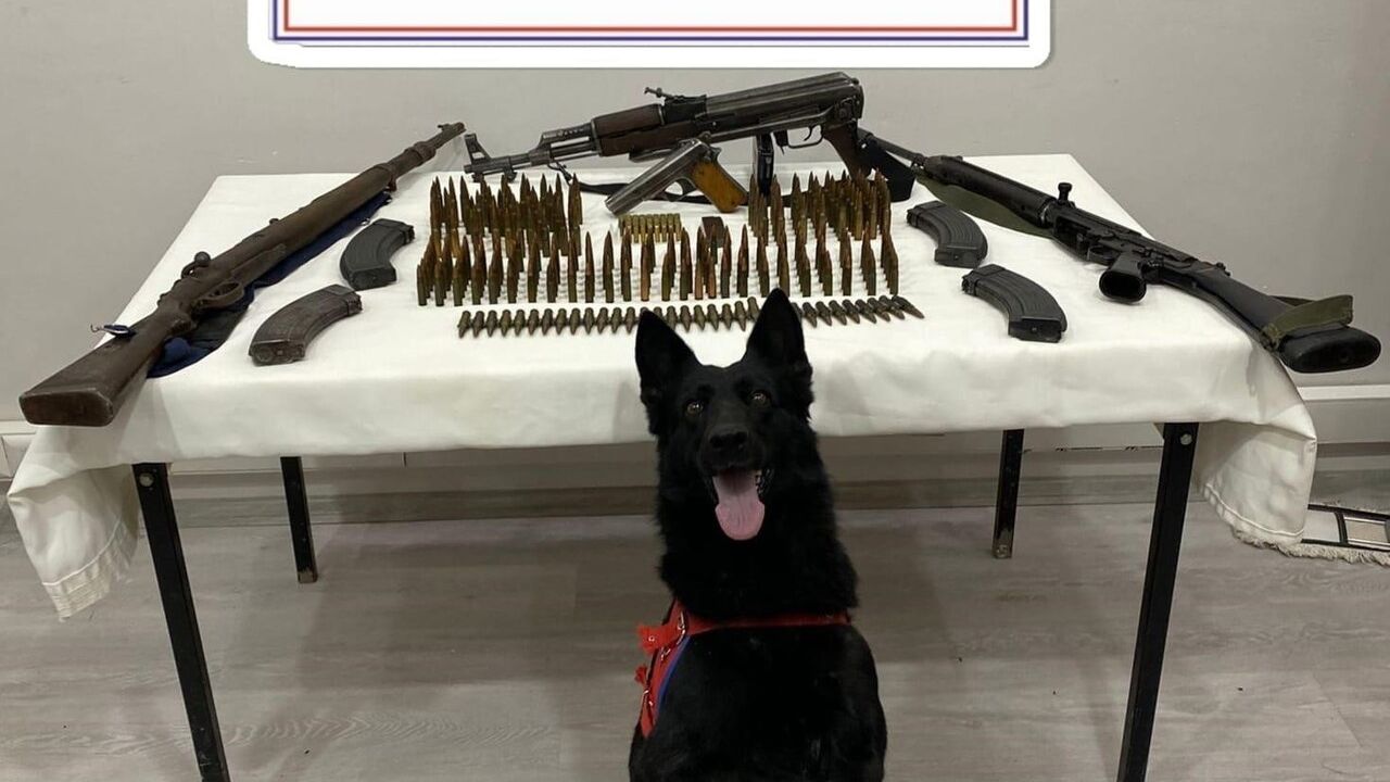 Mardin’de Kaçak Silah Operasyonu: Çok Sayıda Mühimmat Ele Geçirildi