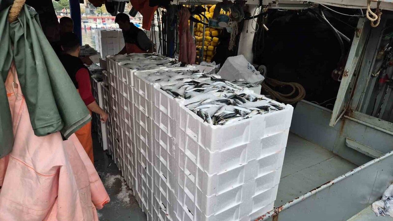 Marmara Denizi'nde Balıkçılara Bereket