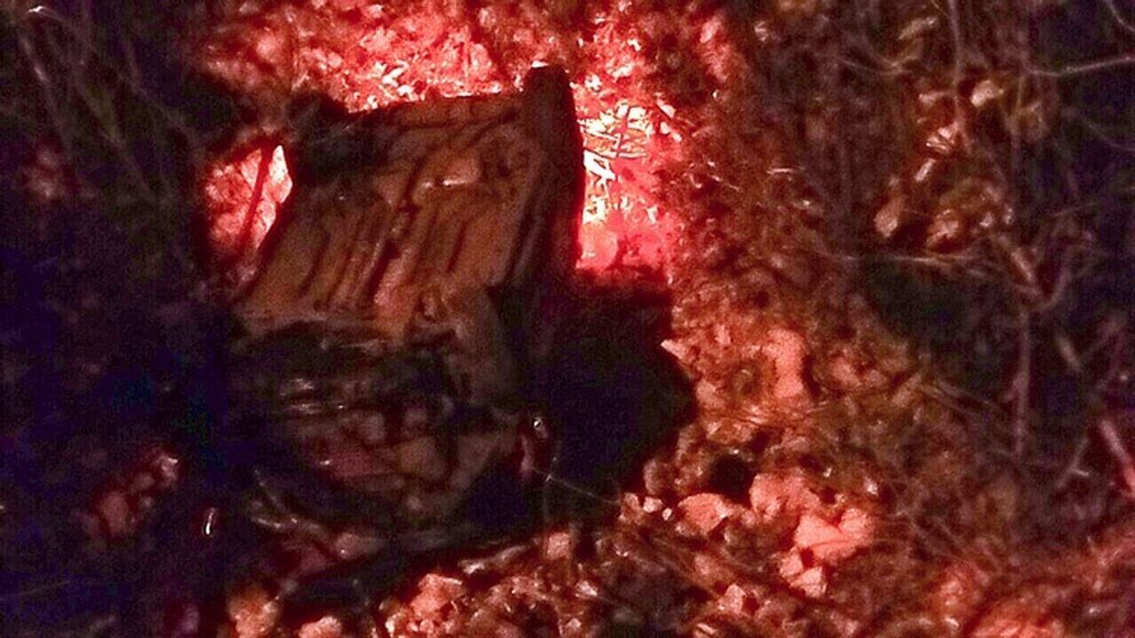 Menteşe'de Araç Dereye Uçtu: 1 Kadın Yaralı