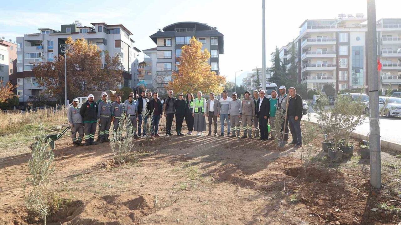 Merkezefendi'de Zeytin Fidanı Dikimi