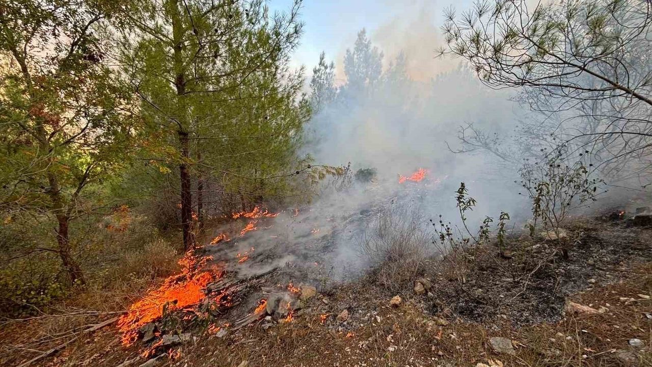 Mersin Bozyazı'da Orman Yangını Kontrol Altına Alındı