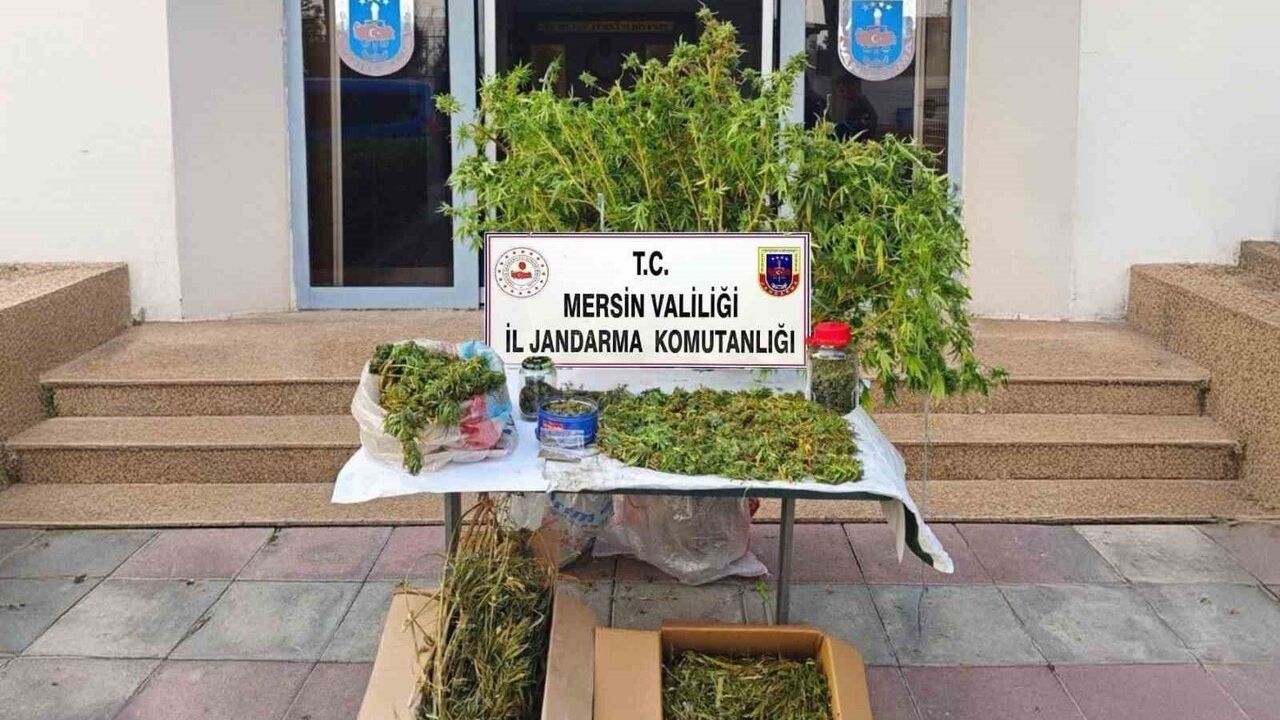 Mersin'de Kenevir Üreten Şüpheli Tutuklandı