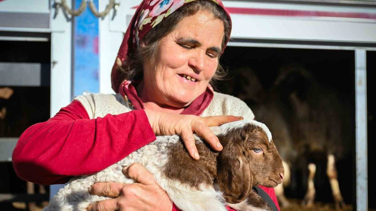 Mersin'de Küçükbaş Hayvancılığa Destek Projesi