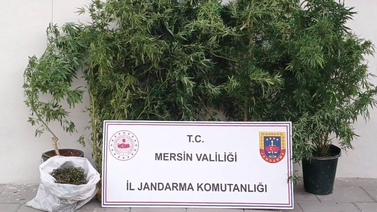 Mersin'de Uyuşturucu Operasyonu: 1 Şüpheli Yakalandı