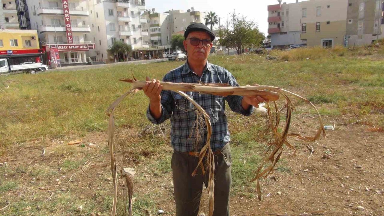 Mersin'de Yer Altı Su Kaynaklarını Bulan Ali Dayıcık