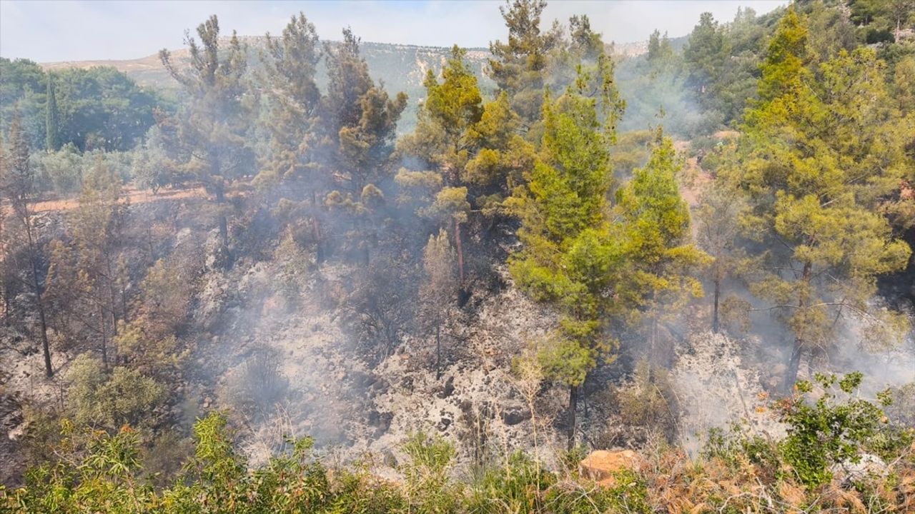Mersin'deki Bahçe Yangını: 1 Ölü