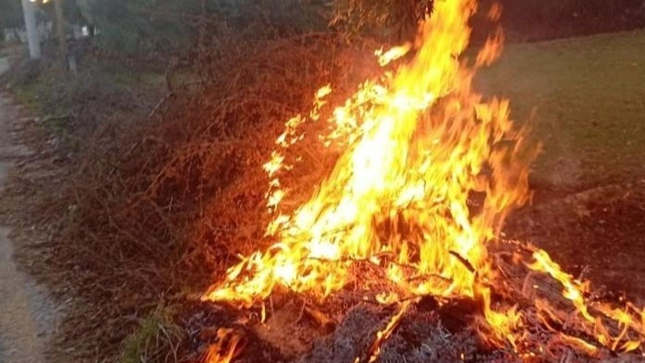 Milas’ta Orman Yangınları Kontrol Altına Alındı