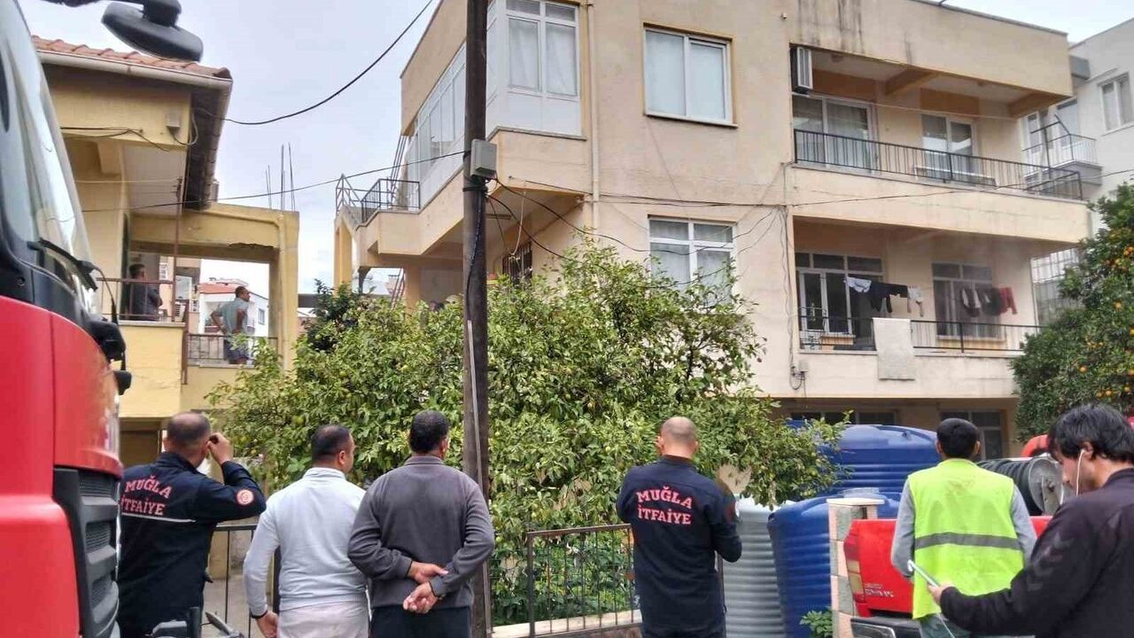 Milas'ta Yemekten Çıkan Yangında İki Kedi Hayatını Kaybetti