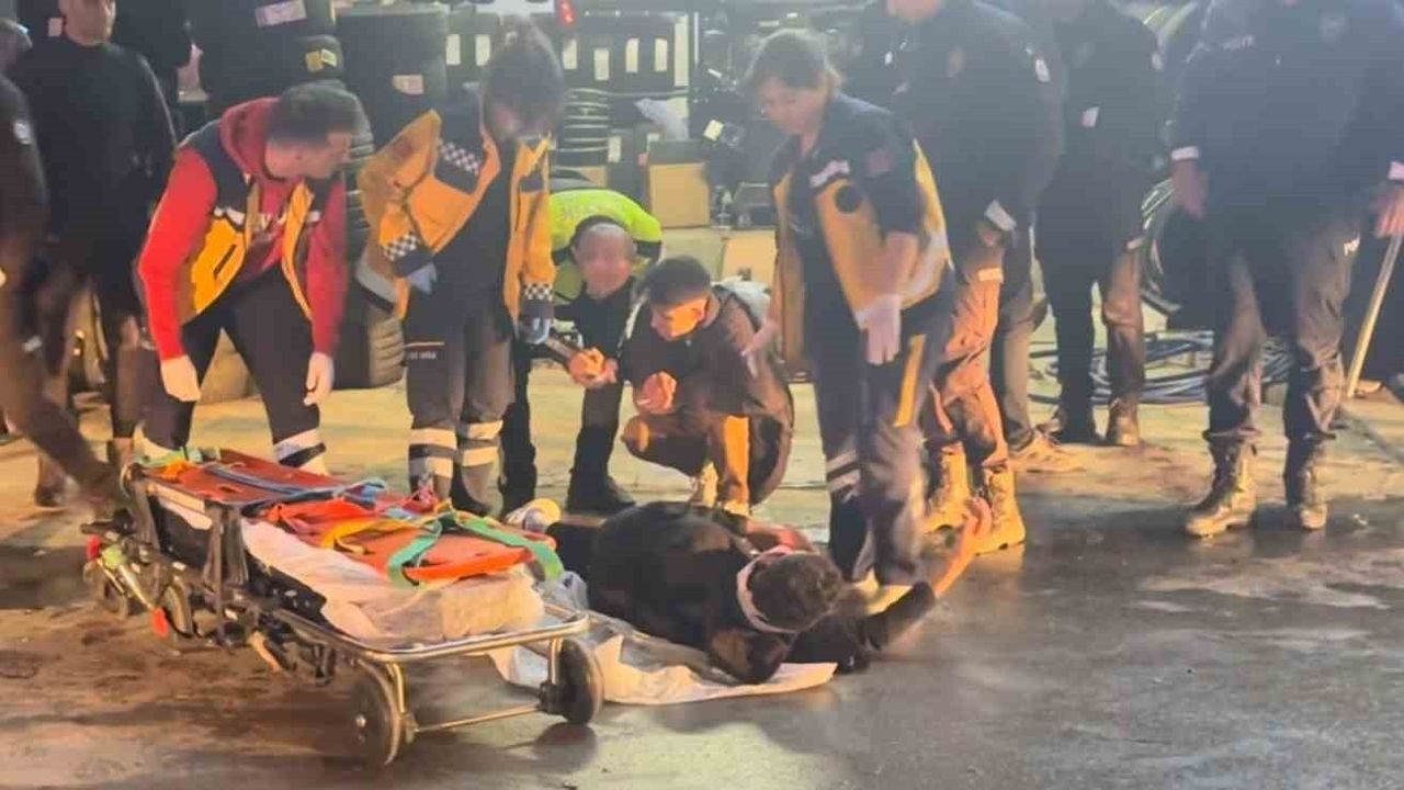 Motosiklet Sürücüsü Polis Aracına Çarptı: İki Yaralı