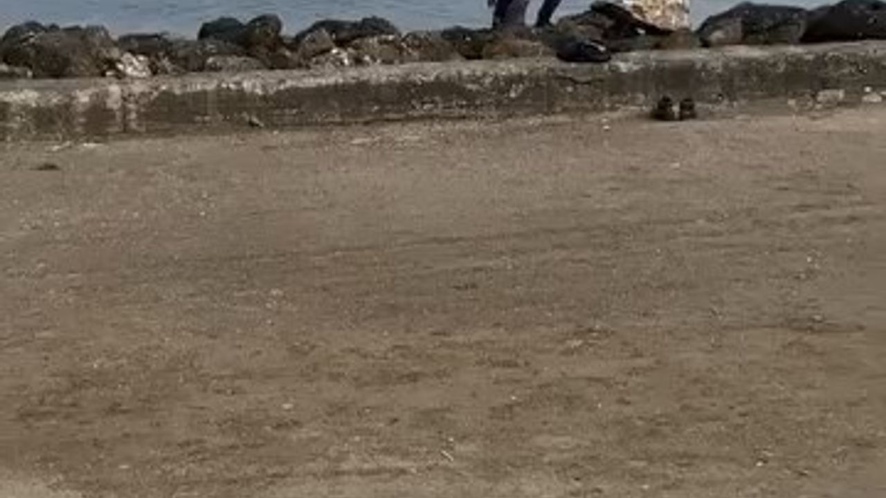 Mudanya'da Martıyı Kurtaran Duyarlı Vatandaş