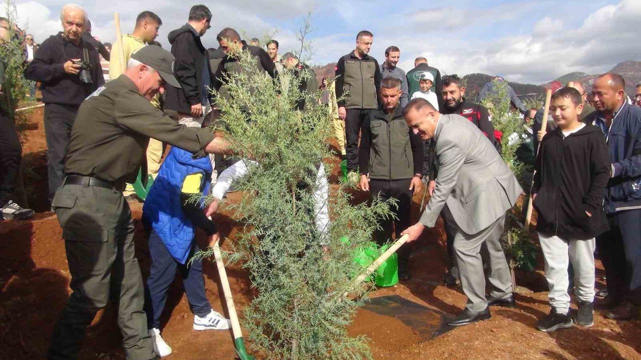Muğla’da 33 Bin Fidan Toprakla Buluştu