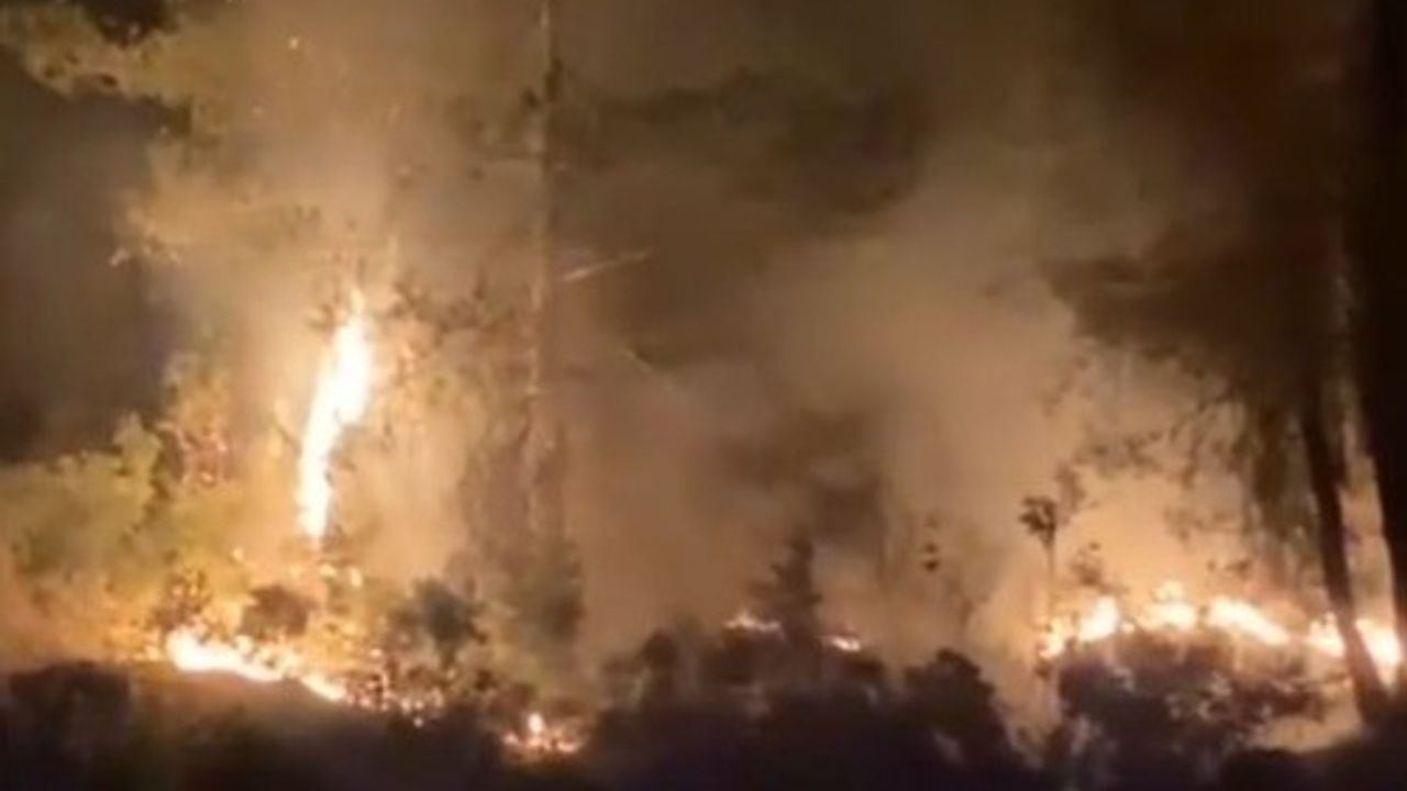 Muğla'da Orman Yangını Kontrol Altına Alındı