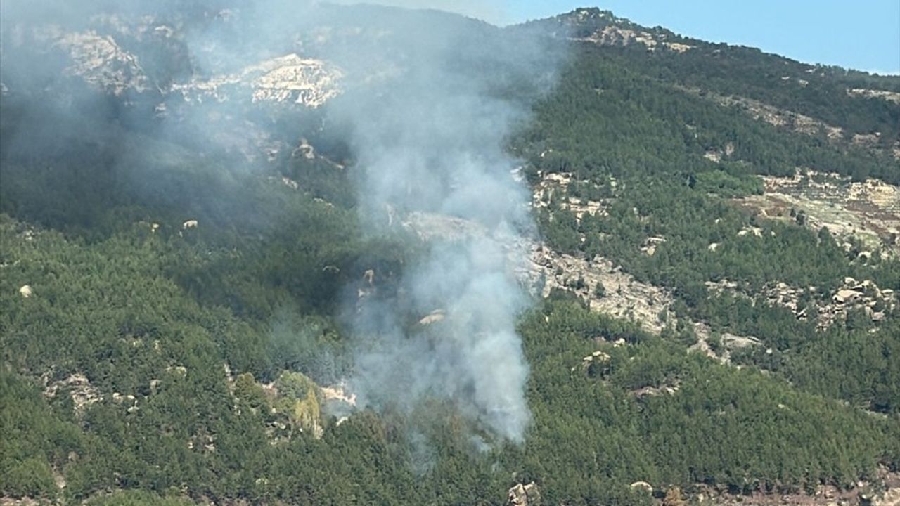 Muğla'da Orman Yangınına Hava ve Karadan Müdahale