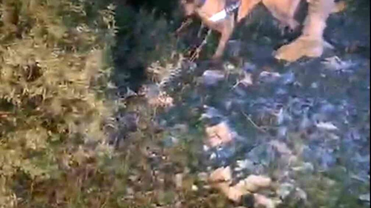 Muğla'da Uyuşturucu Operasyonu: 4 Milyon TL Değerinde Eşya Ele Geçirildi