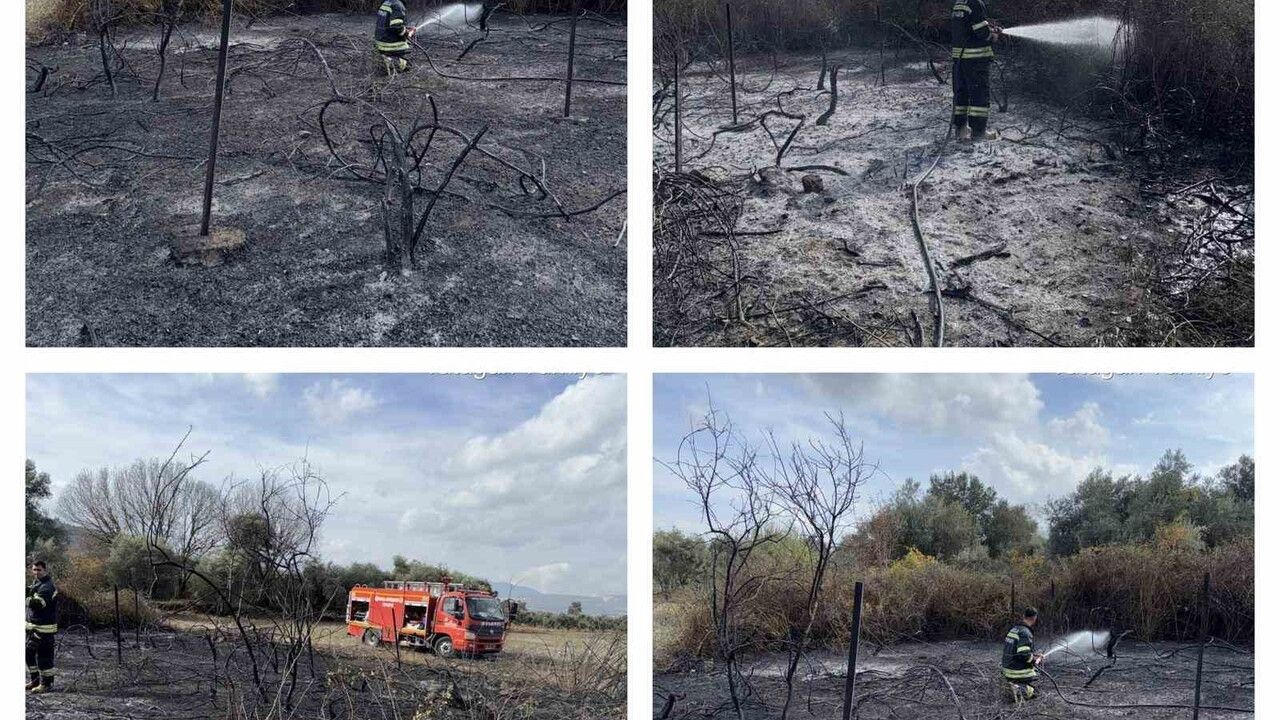 Muğla'da Üzümler Yangında Zarar Gördü