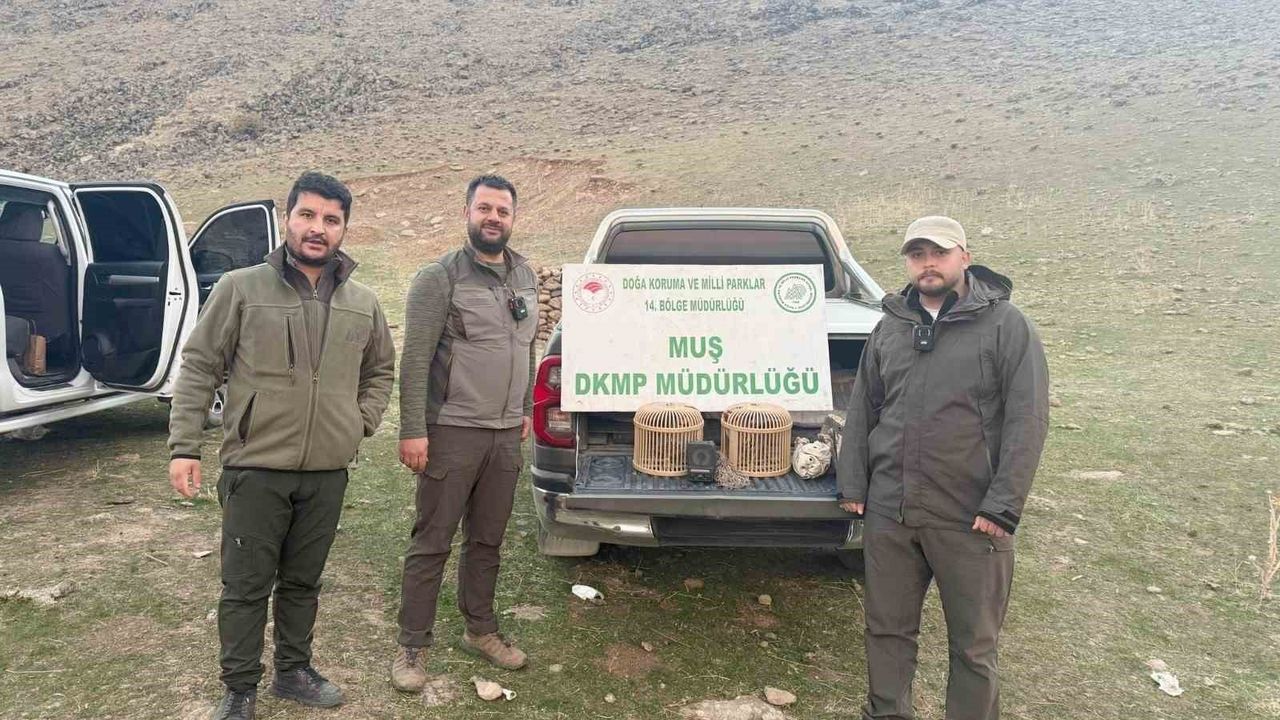 Muş'ta Kafes Avcılığına Geçit Yok: 20 Bin TL Ceza Kesildi