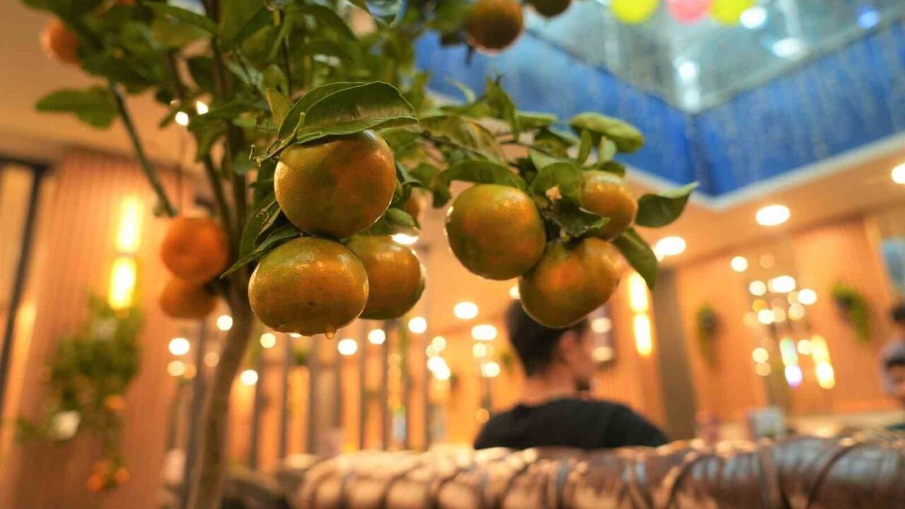 Muş'ta Mandalina Yetiştiren Kafe Deneyimi