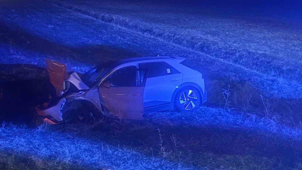 Muş'ta Otomobil İneğe Çarptı: Yaralı Yok, Hayvan Telef Oldu