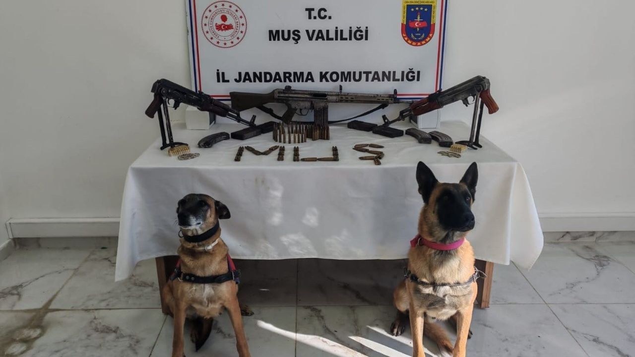 Muş'ta Ruhsatsız Silah Operasyonu