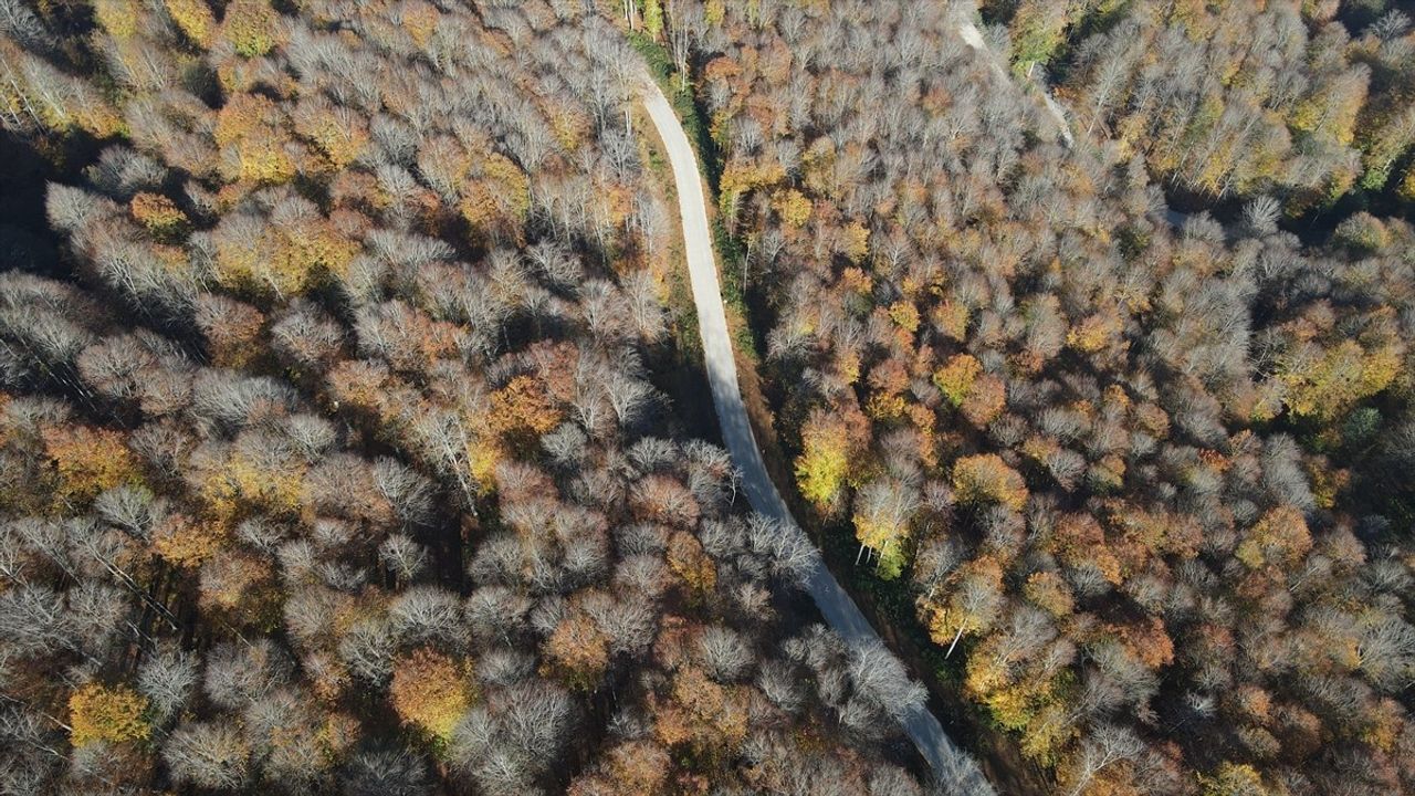 Nebiyan Dağı'nda Sonbaharın Güzellikleri