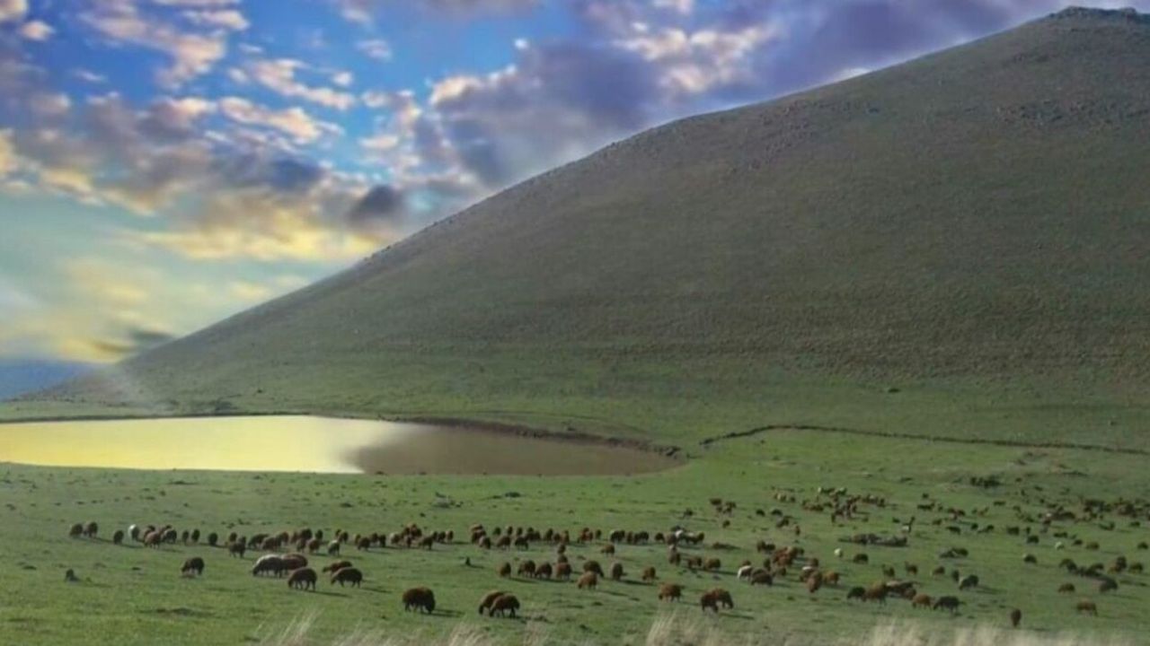 Nişankaya Köyü'nde Meraların Kiralanması Üzerine Soruşturma Başlatıldı