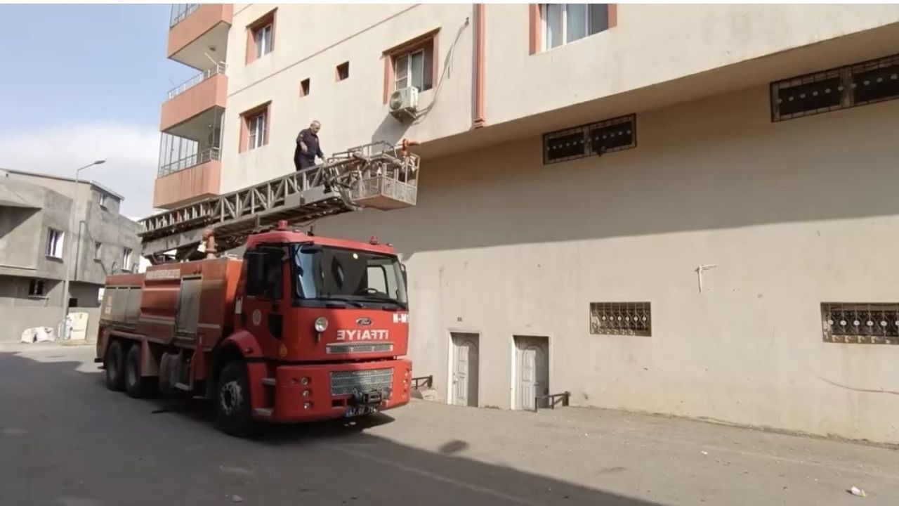 Nusaybin'de Güvercin Kurtarma Operasyonu