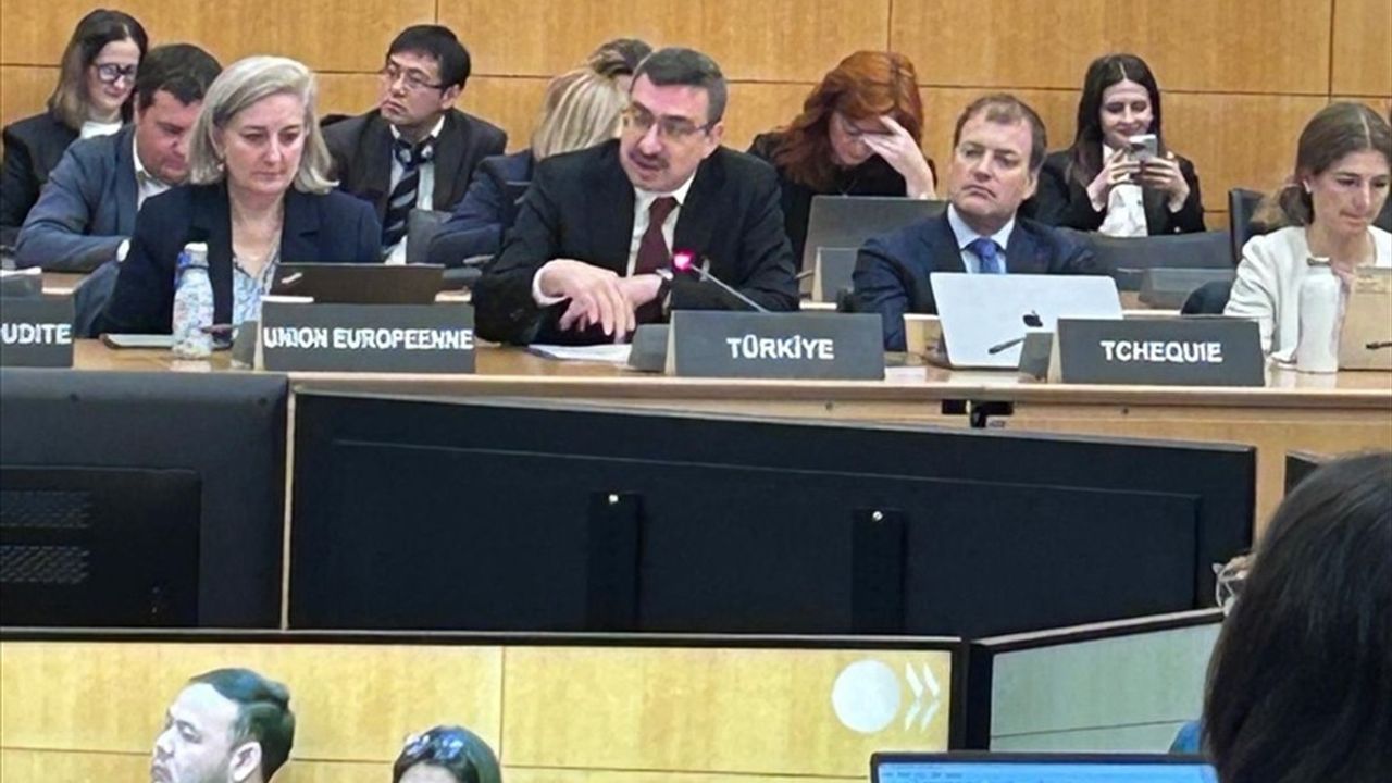 OECD Kurumsal Yönetim Komitesi Paris'te Toplandı