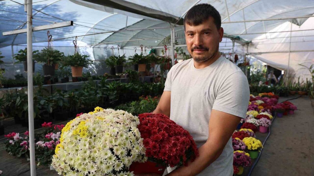 Öğretmenler Günü'nde Saksı Çiçeklerine İlgi Artıyor