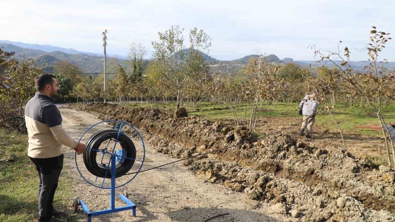 Ordu'da Fındık Bahçelerine Damlama Sulama Sistemi Kuruluyor