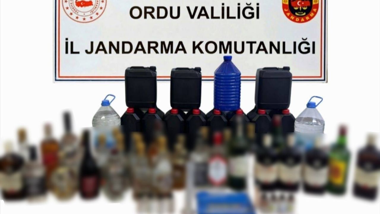 Ordu'da Jandarma Operasyonları: 46 Şüpheli Yakalandı, 17 Tutuklandı