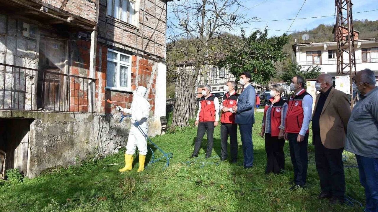 Ordu'da Kahverengi Kokarcaya Karşı İlaçlama Seferberliği
