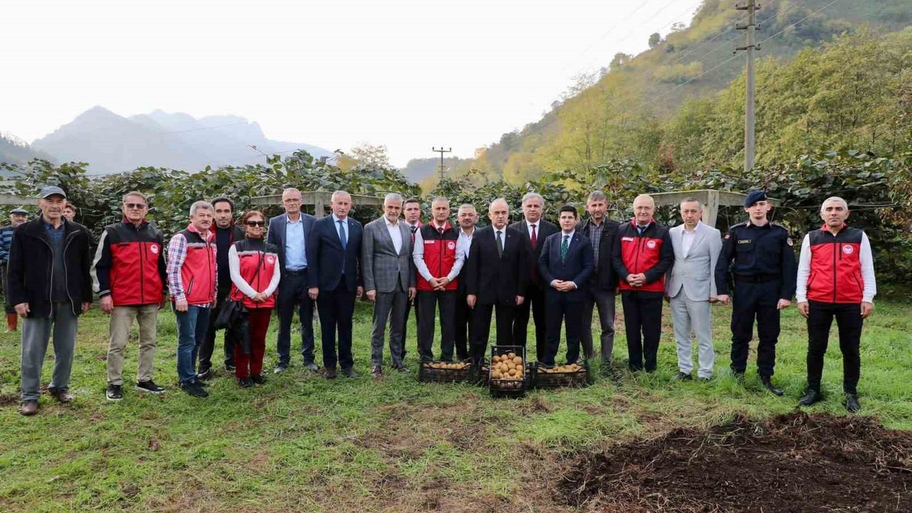 Ordu Kivisinde Hasat Dönemi: Ekonomiye 520 Milyon TL Katkı