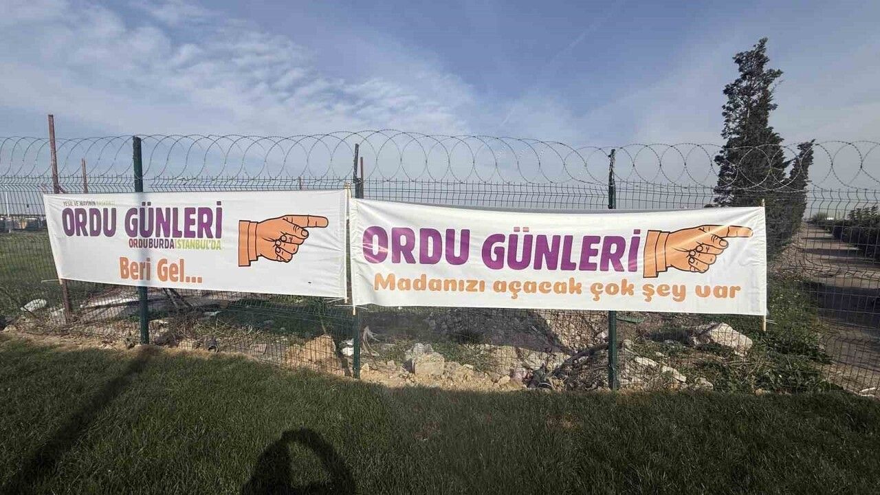 Ordu Tanıtım Günleri'nde Şiveli Pankartlarla Renkli Anlar