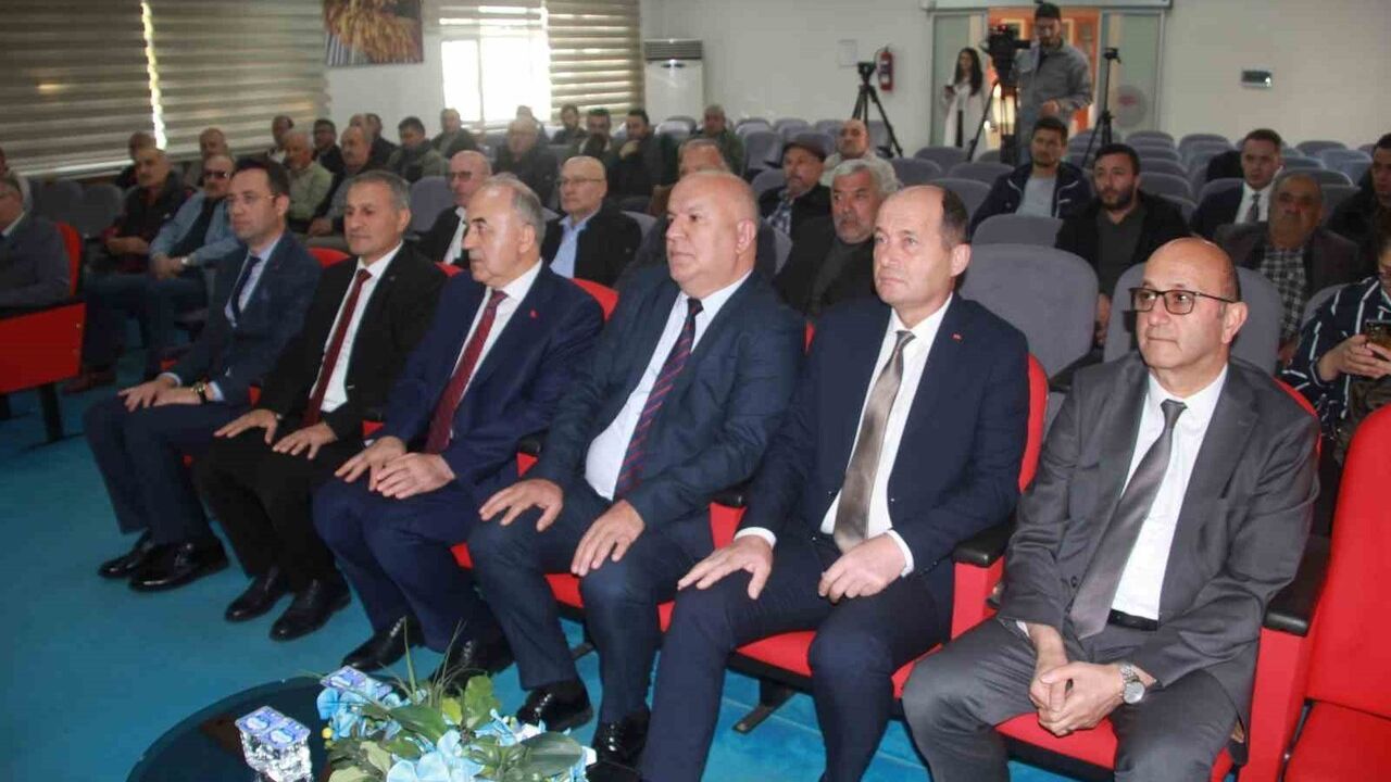 Ordu, Türkiye'nin En Fazla Bal Üreticisi