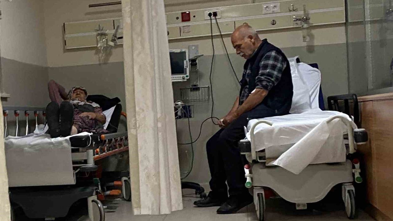 Ormandan Toplanan Mantarlar Zehirlenmelere Neden Oldu