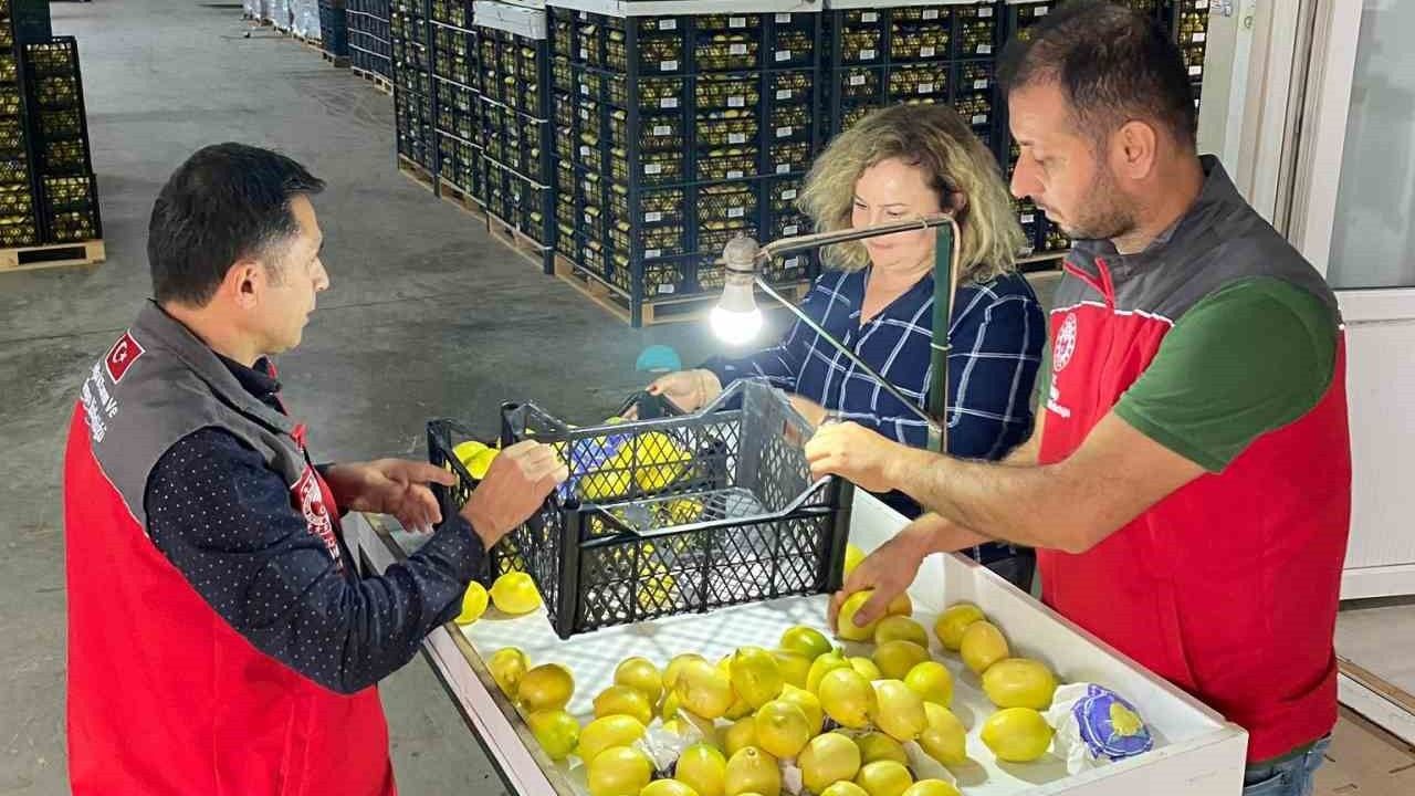Ortaca'dan İhracata Uygun Tarım Ürünleri Onaylandı