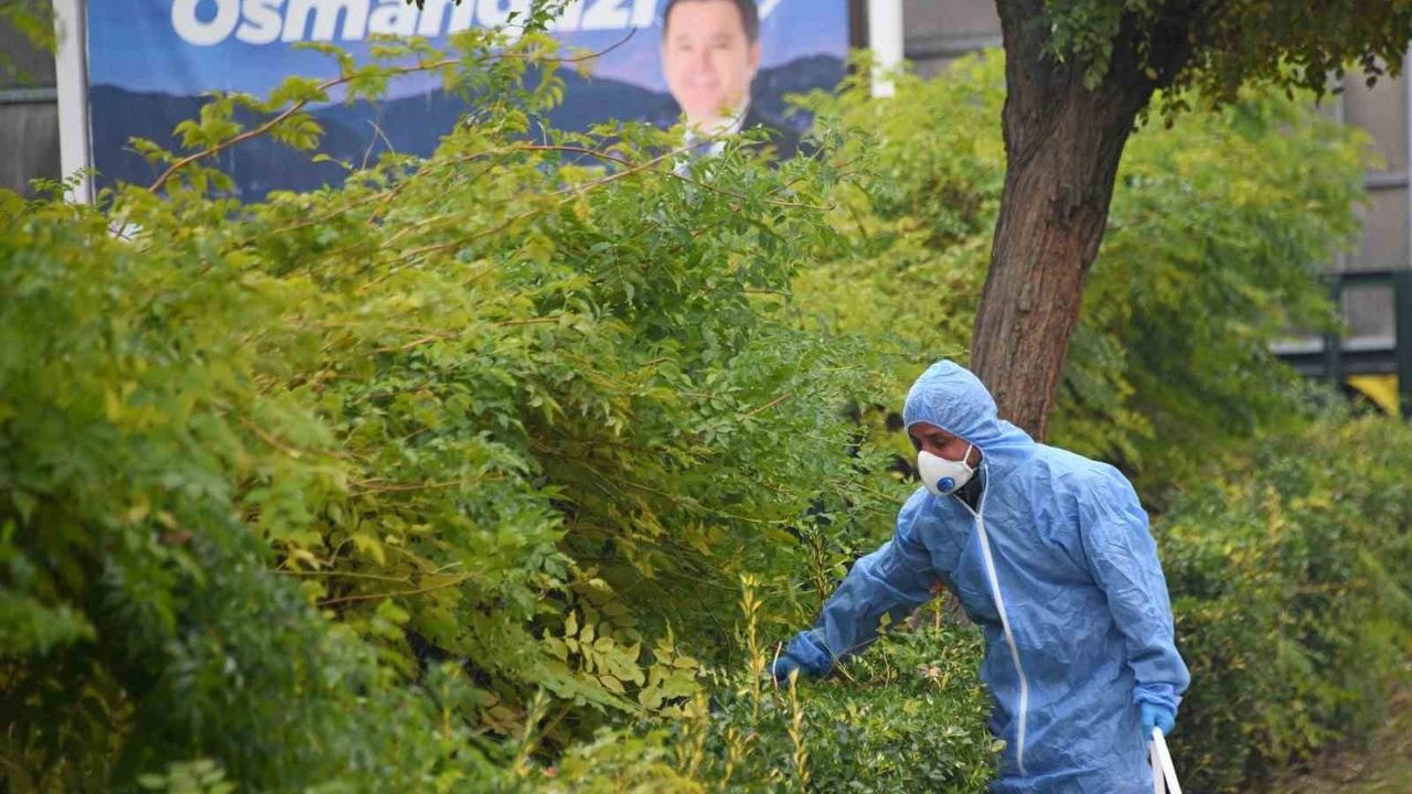 Osmangazi'de Kemirgenlerle Mücadele İçin İlaçlama Çalışmaları Başlatıldı