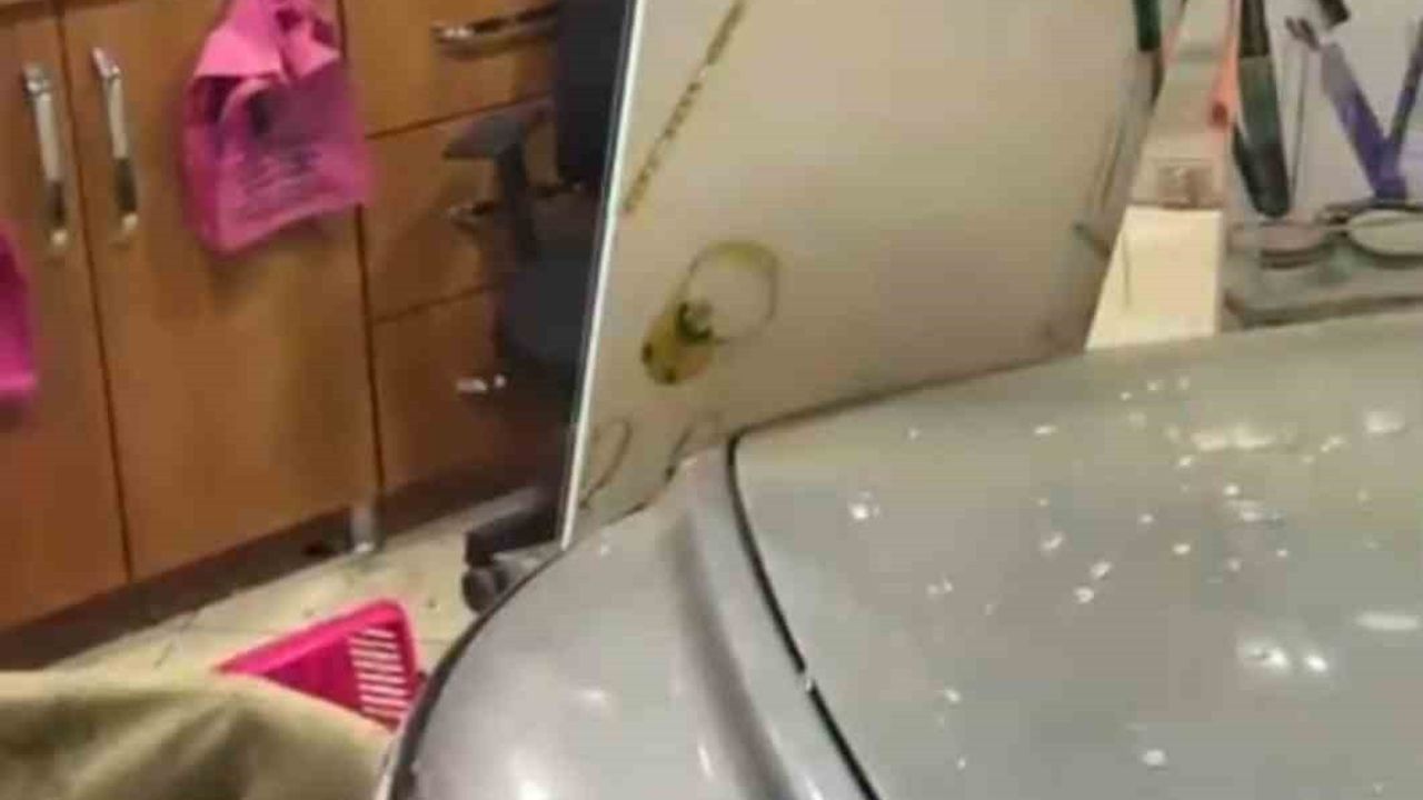 Otomobil Dükkanın İçine Girdi: Kazada Can Kaybı Yok