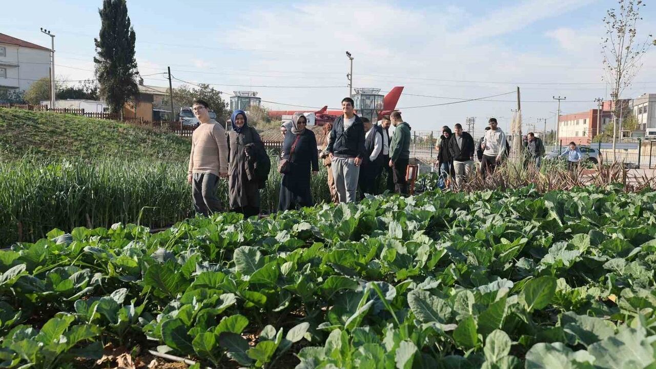 Özel Bireyler Doğayla Buluştu