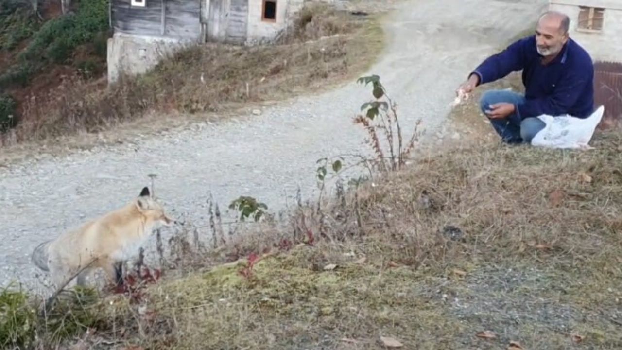 Pimbilona Yaylası'ndaki Sıra Dışı Dostluk
