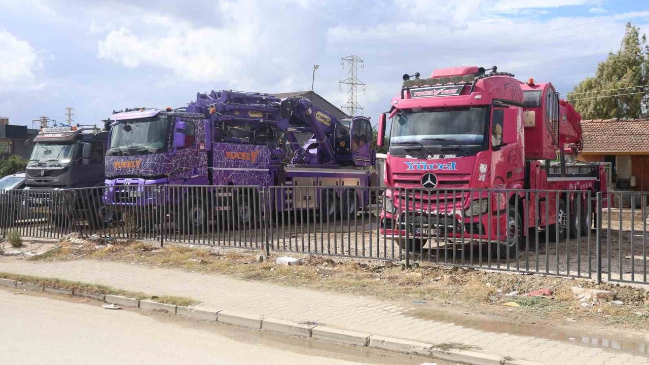 Renkli Vinçlerle İnşaat Sektörüne Neşe Katılıyor