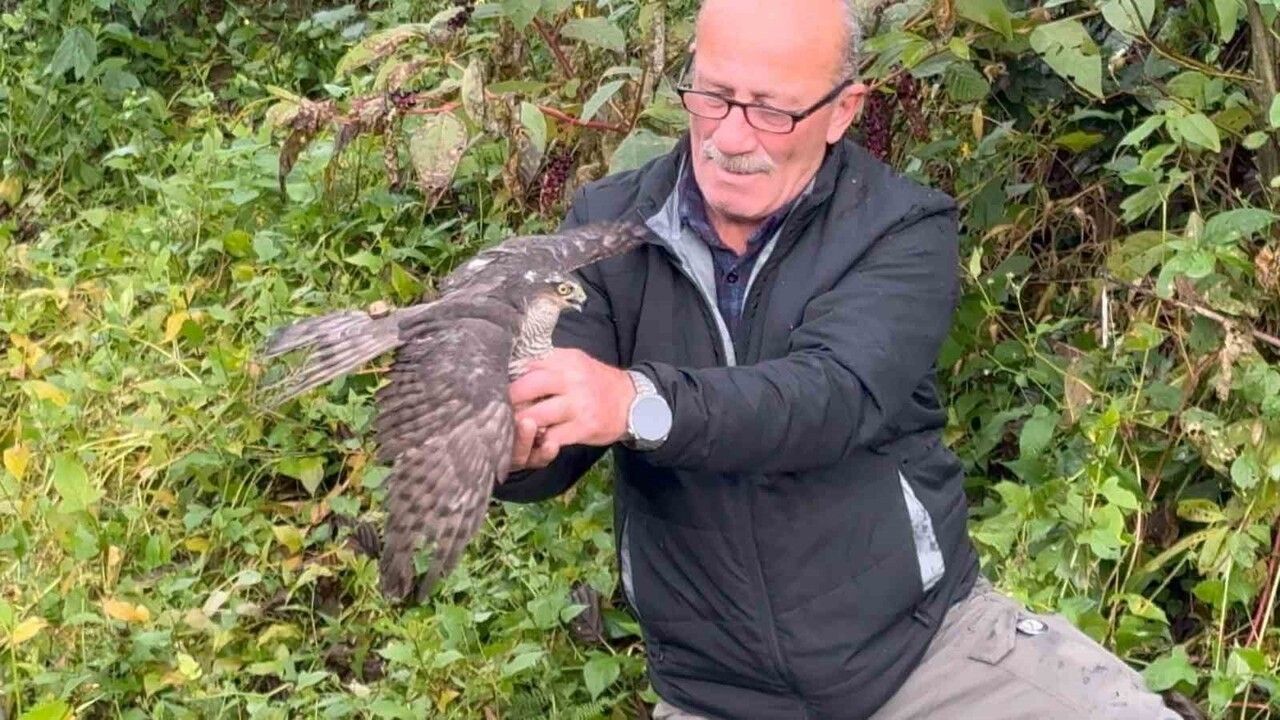 Rize'de Atmaca Salma Festivali Coşkusu