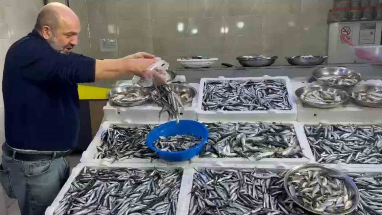Rize'de Hamsi Fiyatları Yüz Güldürüyor