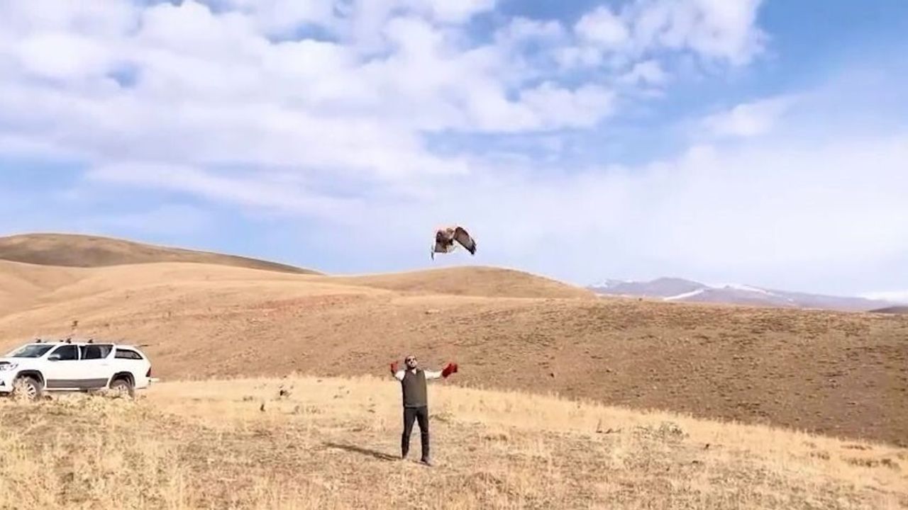 Sağlığına Kavuşan Kızıl Şahin Doğaya Döndü