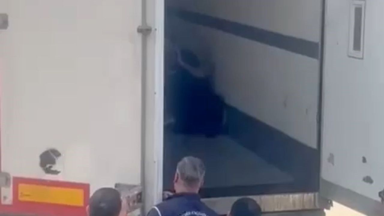 Sakarya'da 24 Düzensiz Göçmen Yakalandı