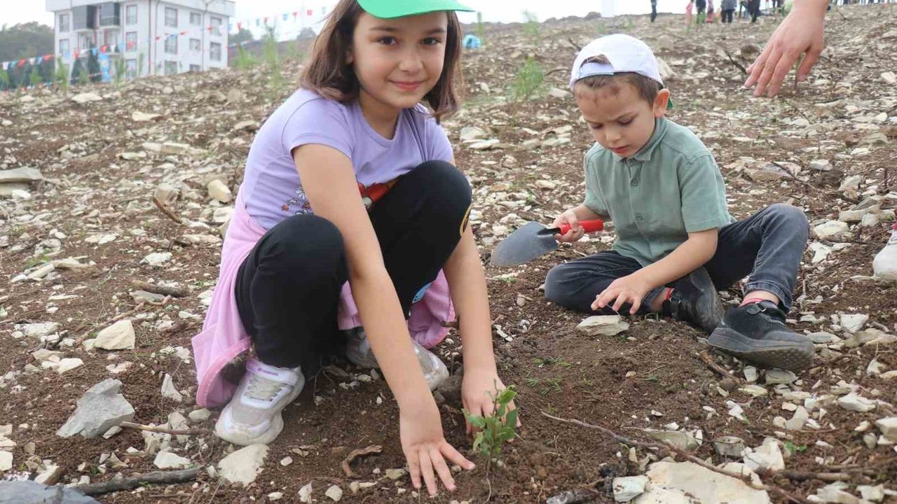 Sakarya'da 4 Bin 500 Fidan Yanan Ormanlık Alana Dikildi