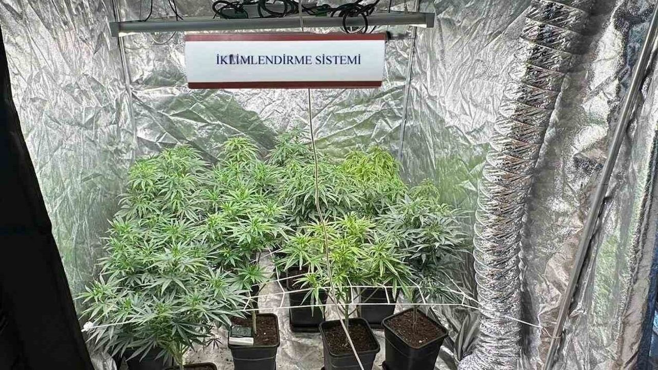 Sakarya'da Uyuşturucu Operasyonları: 5 Kişi Tutuklandı